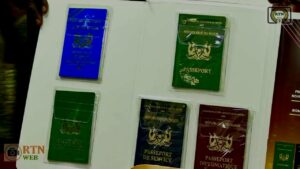 Passeport biométrique AES au Niger : spécimens ordinaire, de service, diplomatique, spécial Hajj et titre de voyage pour réfugiés