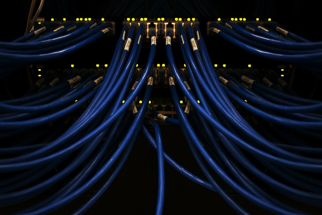 Illustration de câbles réseau connectés