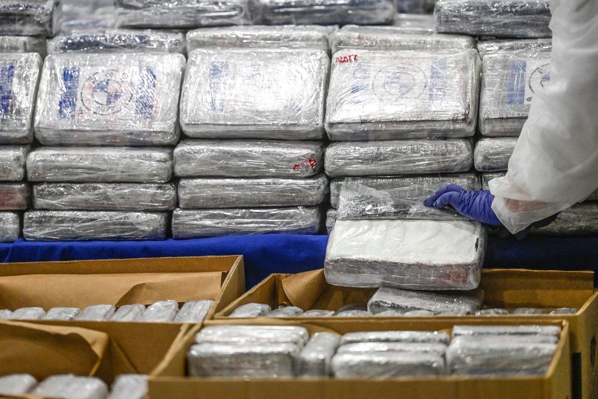 Trafic de cocaïne au Niger — illustration de briques de cocaïne saisies par la police portugaise à Lisbonne